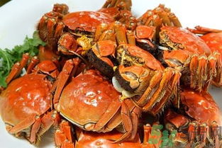 吃螃蟹过敏很痒怎么办 吃螃蟹过敏很痒可以抠吗