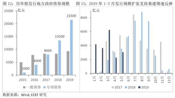 2019地方政府债务风险是否可控