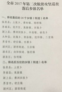 阜阳脱贫攻坚巡查,界首这2个乡镇被点名