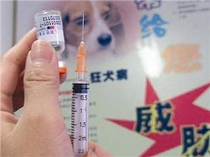 平安意外保险报销狂犬疫苗 平安保险打狂犬疫苗怎麽报销 