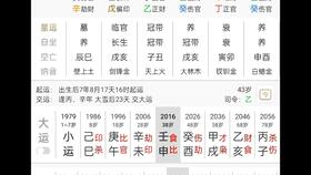 041曾勇老师讲四柱八字知识点之干支冲合刑害关系全面理解