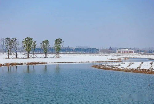 盐城大洋湾生态旅游景区在哪里(盐城大洋湾几个停车场免费)