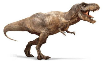 白垩纪四大最强恐龙,任何一种都虐翻霸王龙,第四以放血撕咬出名 