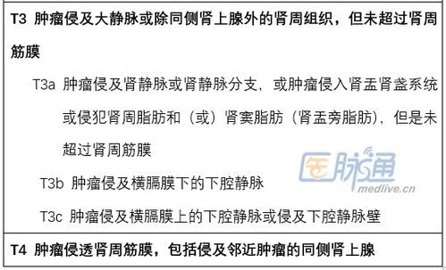 tnm临床,TM临床分期:癌症诊断的基石 tnm临床,TM临床分期:癌症诊断的基石 百科