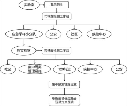 核酸检测返乡流程,春节返乡如何在支付宝上预约核酸检测