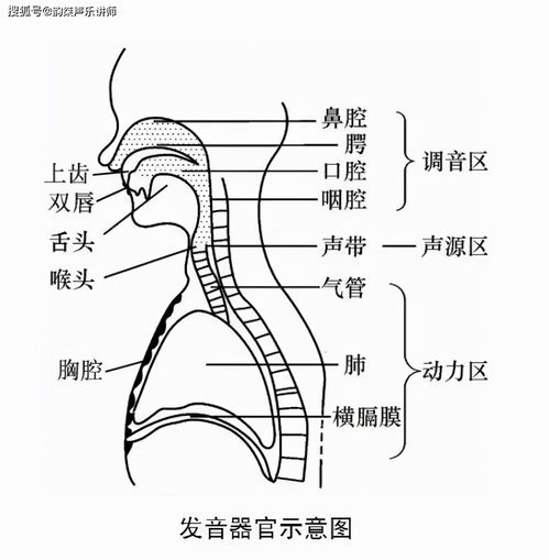 头腔共鸣怎么练,掌握头腔共鸣，让你唱歌