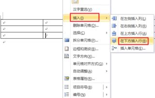 在WORD文档中如何在表格中加行 