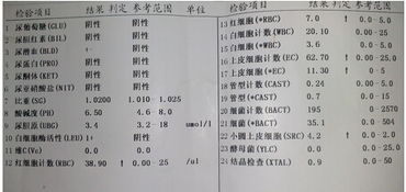 尿常规化验单怎么看 