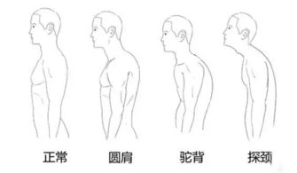 女神福利 如何拥有修长好身材 好气质 