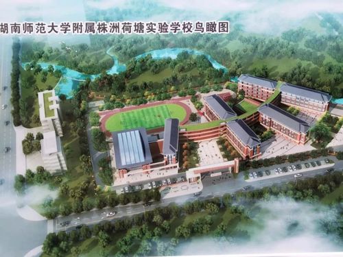 株洲哪些大学