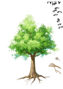 画一棵树的英文怎么读,画一棵树用英语怎么读