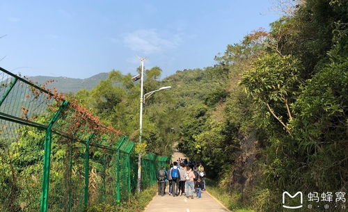 马峦山爬山溯溪吃鸡之旅