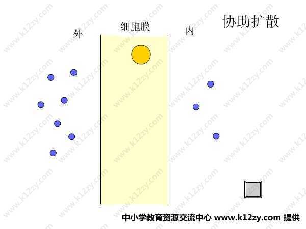 微生物中协助扩散的步骤是什么 