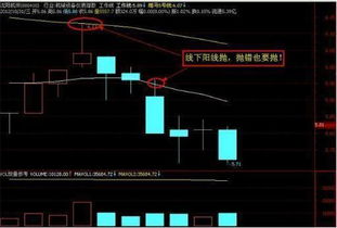 请问：炒股票时，有人说，上涨看阴线，下跌看阳线，是什么意思？