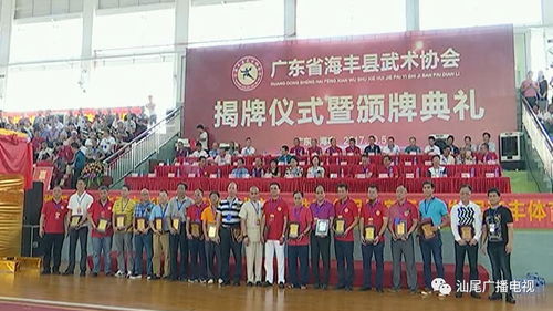 海丰县武术协会成立 传承中华文化