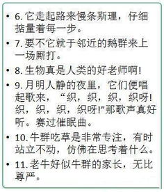 小学语文2 6年级拟人句集锦,让老师都舍不得扣分