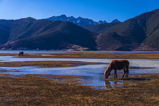 从丽江到香格里拉