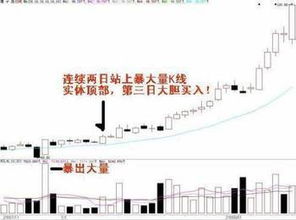 去年11月初买入600395，一直没动，今天忍不住卖了，对不对？