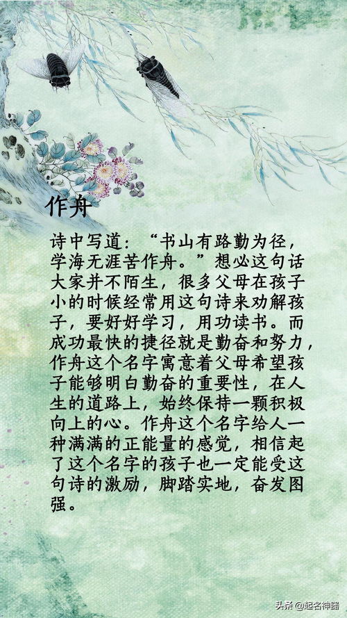 味道杜雨阳,这是一个富有诗意的名字,仿佛能让人感受到一种独特的味道