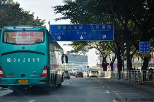 春运深圳火车站接人怎么停车(深圳火车站周围免费的停车场)