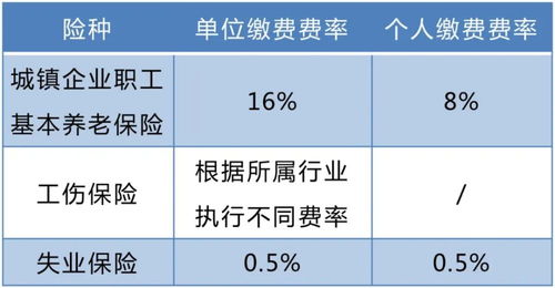 重庆市补缴养老保险费,2023年重庆社保补缴政策