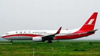 上海浦东国际机场的股票有哪些