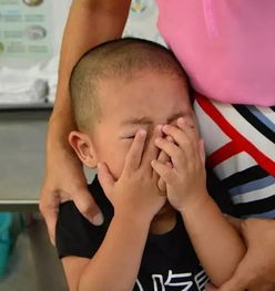 广州的宝宝在幼儿园哭得撕心裂肺,妈妈在朋友圈哭得梨花带雨 
