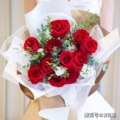 送礼情人节送什么花,情人节除了红玫瑰，还可以送什么花
