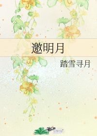 邀明月 踏雪寻月 