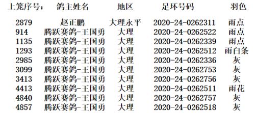 都是假环惹的祸 公棚多羽参赛资格作废 