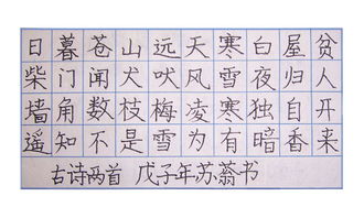 关于热爱写字的诗句