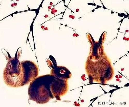 属兔的人在农历几月出生,是上天安排的 玉兔命 ,一生非富即贵