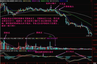 股票持有一段时间后，分红前卖出还是分红后呢