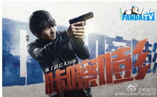 国民岳父韩寒签约熊猫TV 将于12月29日首播
