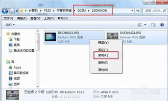 在电脑上怎么下载照相机