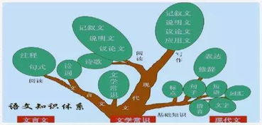 语文知识树 小到初知识俱全