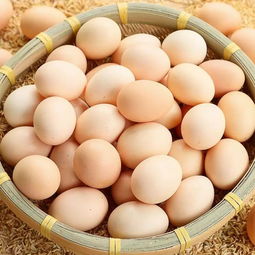 鸡蛋的做法 鸡蛋的12种做法