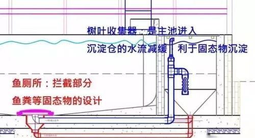 你不是一直想知道鱼池过滤咋搞吗