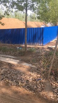 兰考县国有林场遭遇 偷梁换柱 挖土填垃圾