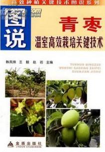 台湾青枣的高效种植技术及管理要点,台湾青枣的盆栽