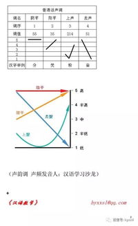 “音频”的意思如何、音频的读音怎么读、音频的拼音是什么、怎么解释？