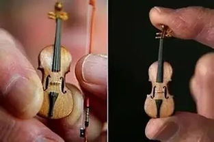 据说小提琴是双子座的 那你是什么乐器 