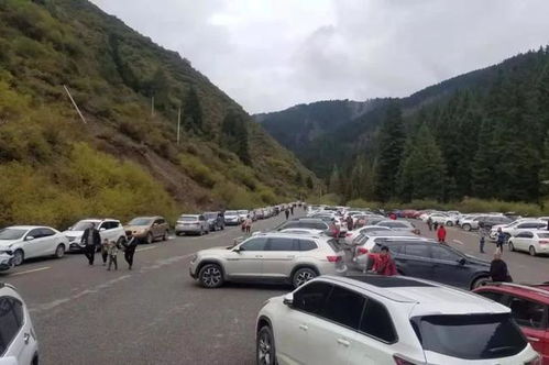 五朵山开车自驾怎么停车,自驾五朵山旅游(西峡停车场收费标准的简单介绍)