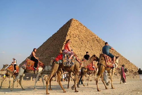 去埃及旅游穿什么算暴露