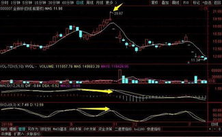 为什么中石化股票看不到历史K线？