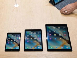 iPad Pro平板是个人计算机的未来 苹果很有信心 