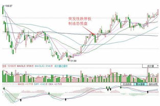 在我国股市，小散户是否有权利参加上市公司的股东大会呢？？ 小散户也是上市公司的股东呀