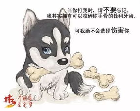 中国梦 圣宠梦 形象片,催泪海报展出,狗狗感人的十句话 