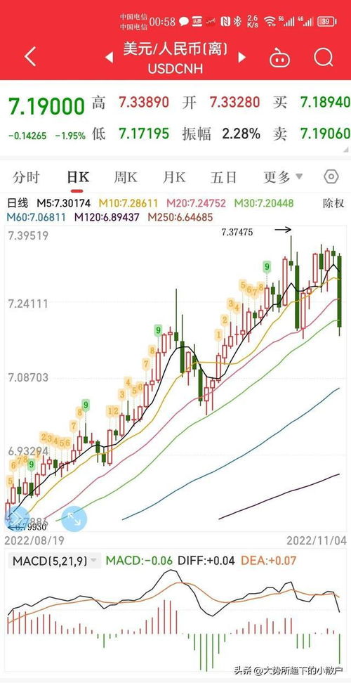 shi币最大涨幅 shi币最大涨幅 生态