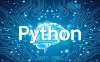 python什么软件,Python什么软件